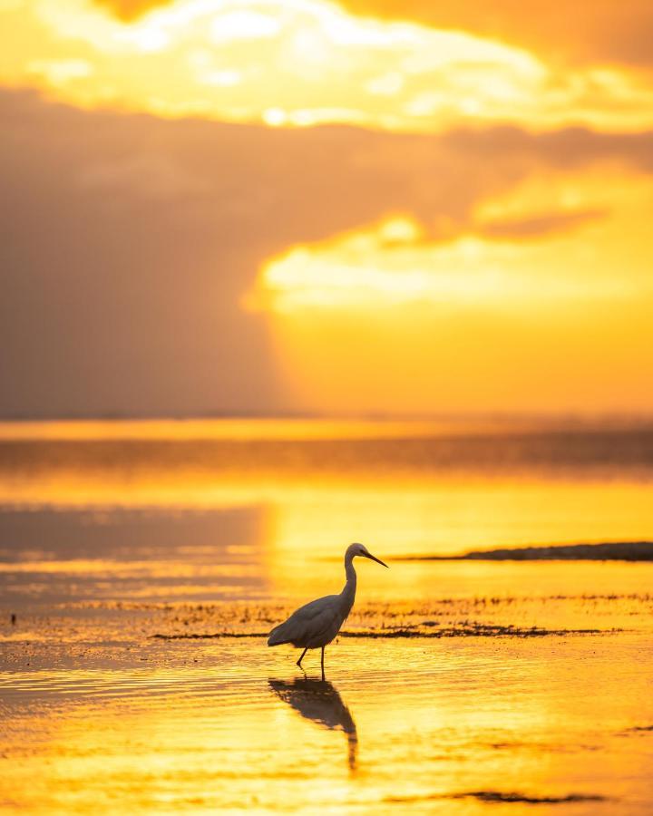 Hakuna Majiwe Beach Lodge Paje Bagian luar foto