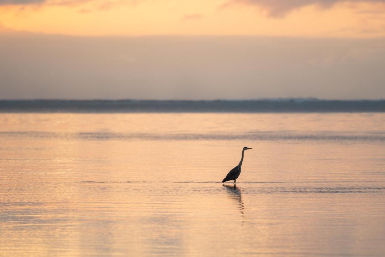 Hakuna Majiwe Beach Lodge Paje Bagian luar foto